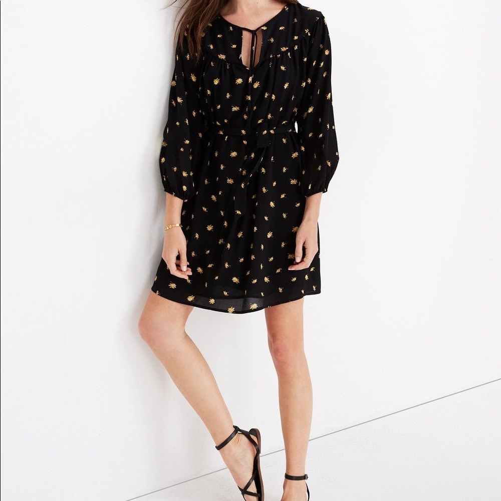 Madewell Chiffon Tie-Waist Dress